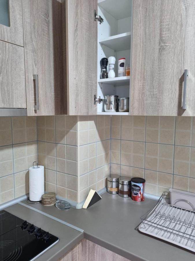 Apartman Ristanovic Баня-Ковиляча Екстер'єр фото