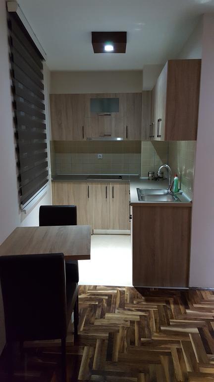 Apartman Ristanovic Баня-Ковиляча Екстер'єр фото